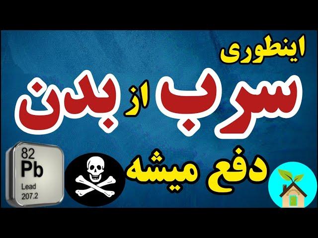 اینطوری سرب از بدن دفع میشه| ضررهای سرب برای سلامتی و راه دفع سرب از بدن