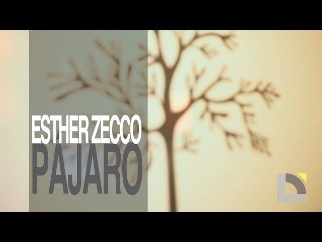 Directo en Lavapiés - Esther Zecco - Pájaro