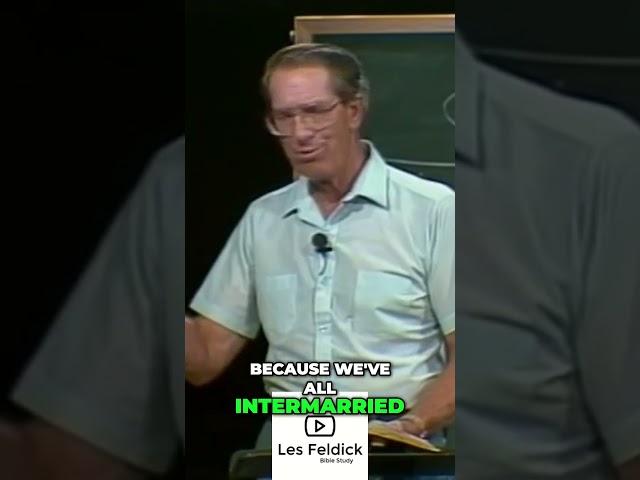 American Identity Loss vs. Jewish Preservation
