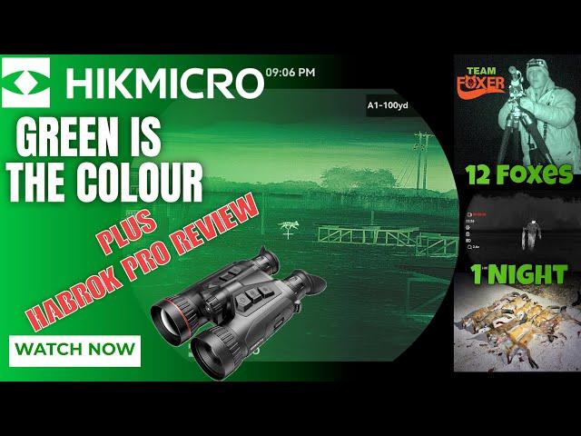 Habrok Pro HX60L review & 12 FOXES IN ONE OUTING!! Using the HIKMICRO Stellar SQ50L 3.0