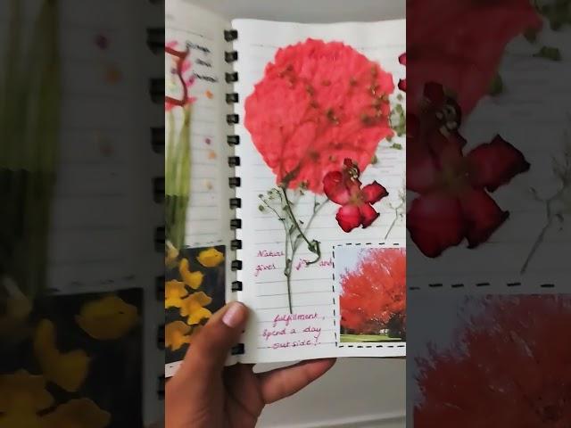 Nature Diaries/nature journal #journal #scrapbooking #junkjournal #flowers #creative #shorts #art