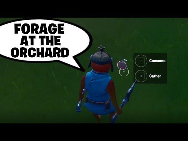 Fortnite Challenge: Gather or Consume Foraged Items at the Orchard