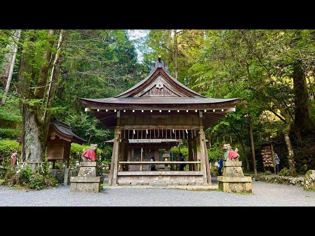 龍神緊急ライブ！※この映像を見かけたら今日必ず見ておいて下さい※1分後から悩みが解決し願いが叶う不思議な力があります※貴船神社奥宮オンライン遠隔参拝