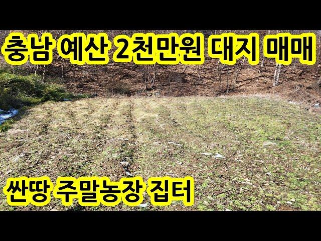 2천만원 대지 산밑 조용한곳 2천만원 국유지 도로접 싼땅 전원주택지 주말농장 농터 농막 세컨하우스 부지 농지 충남 예산군 대흥면 땅 토지 매물 매매