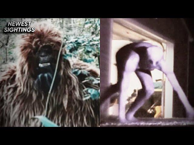 The Best New Cryptid Creature Footage *REAL EVIDENCE*