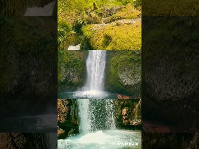 relaxing music with beautiful nature/shorts/status@S-M-R