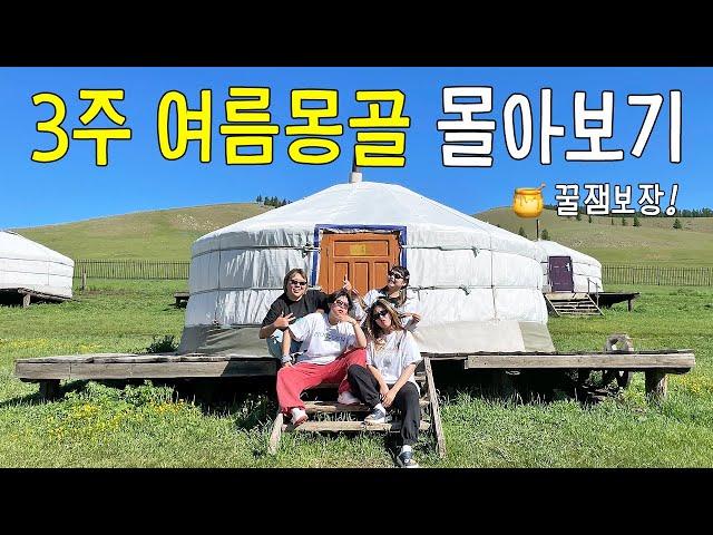 꿀잼보장 21박22일 여름 몽골여행 몰아보기 (5시간 45분)