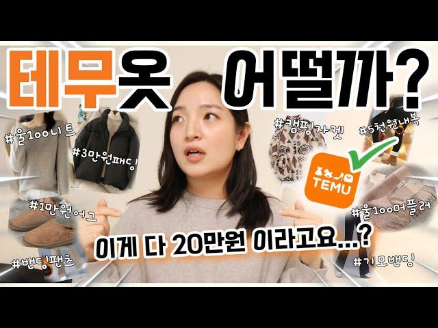 3만원 짜리 패딩점퍼 구경하고 가세요. 20만원으로 억만장자처럼 쇼핑해봤습니다. #테무깡 #테무하울 #temu