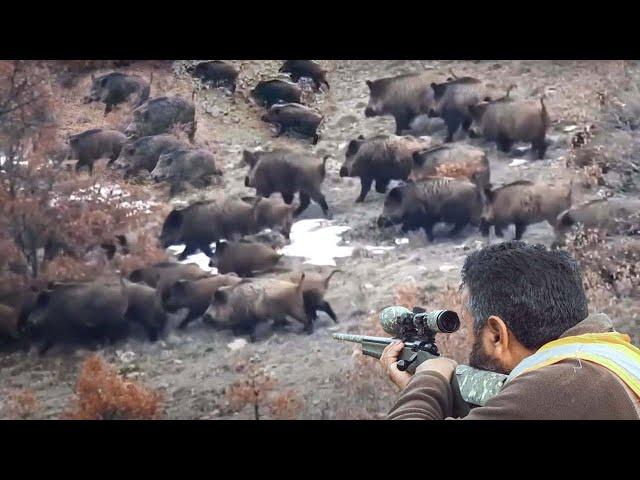 American Hunters And Farmers Hunt Millions Of Wild Animals - Hunting Documentary