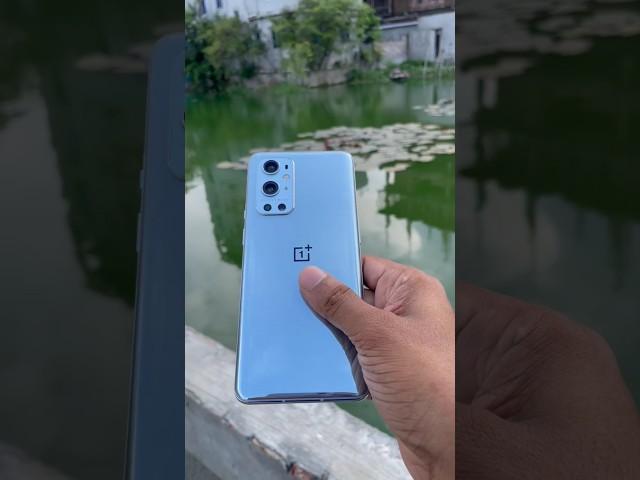 OnePlus 9pro camera  @OnePlusIndiamobile #shorts #trending #viral #ytshorts