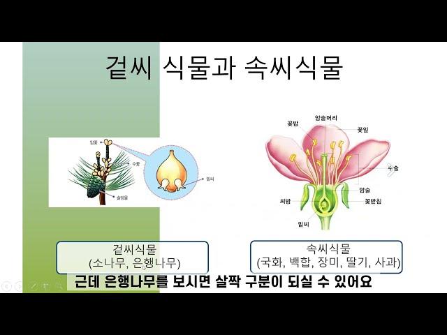 2022 Focus on Science 제3강 '식물분류 방법과 기준에 대해 알아보자!'