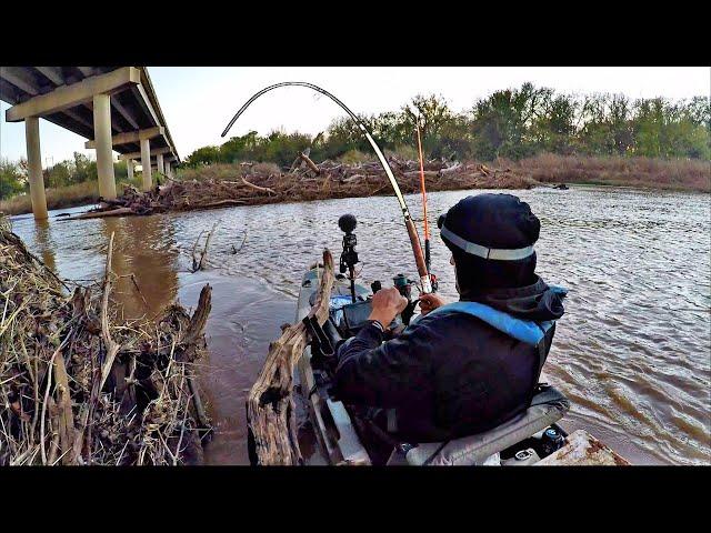 Fishing THICK LOGJAMS for My Biggest Kayak Flathead Catfish Ever!