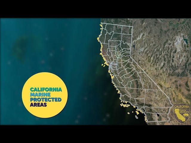 2018 Marine Protected Area Management Program Highlights