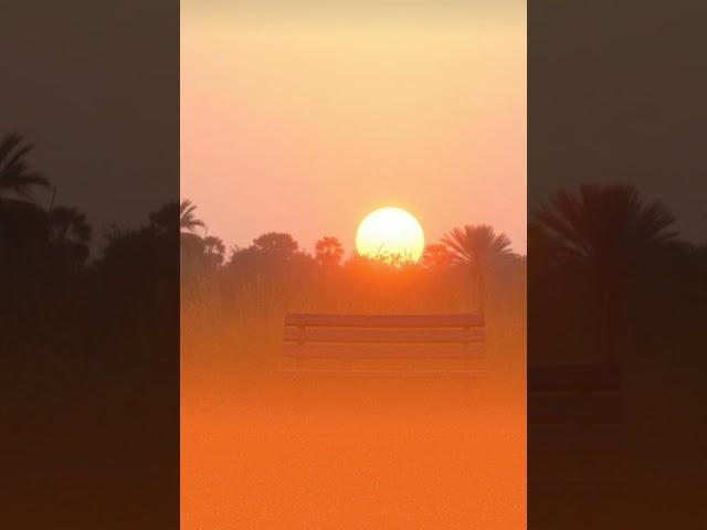 〈너의 세상에 머무는 법〉#sing #song#haru##missyou #hope#love#sinabro #dami