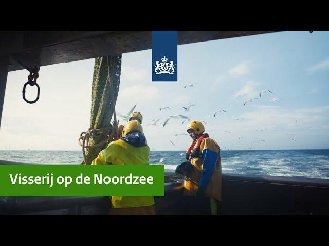 Visserij op de Noordzee | Minister Adema vaart mee met een kotter