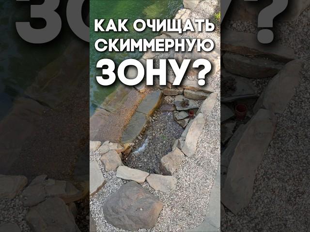 Как очищать скиммерную зону в пруду?