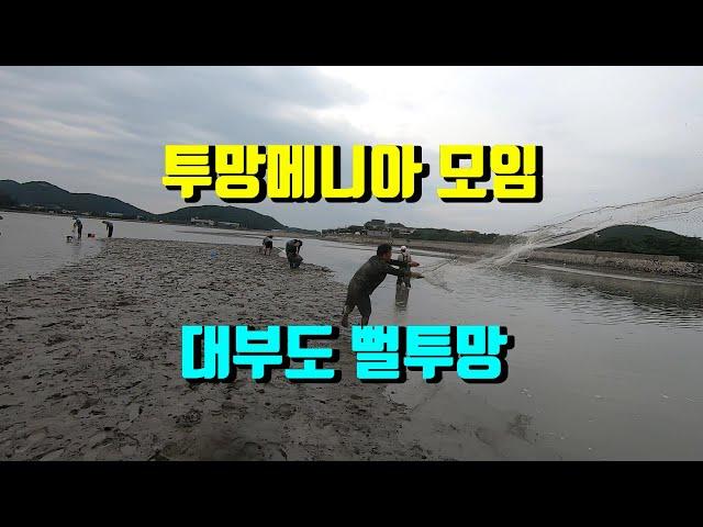 서해투망24편/투망메니아 대부도 뻘투망[화성이반장]