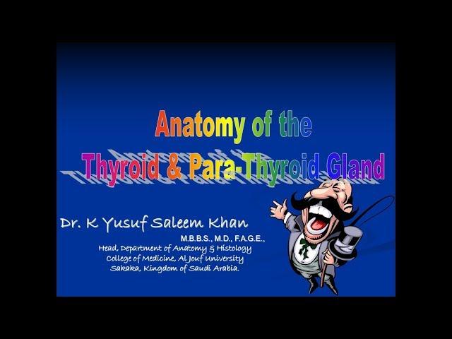 Anatomy of THYROID & PARA-THYROID GLANDS || Dr. Yusuf ||