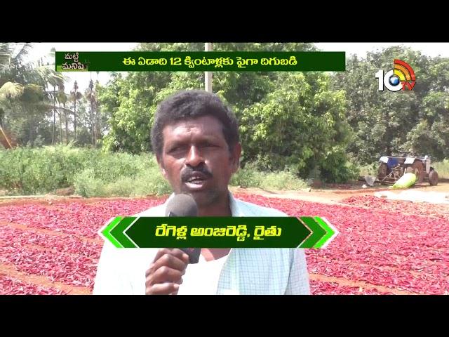 లావు విరపతో దీటైన ఆదాయం | Paprika Chilli Cultivation And Profits | Matti Manishi | 10TV News