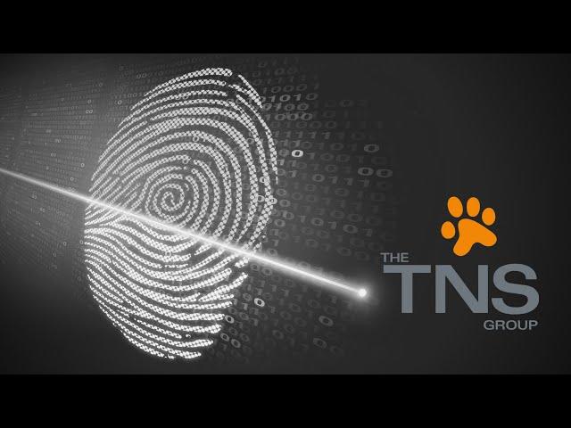 The TNS Group - Who We Are, What We Do