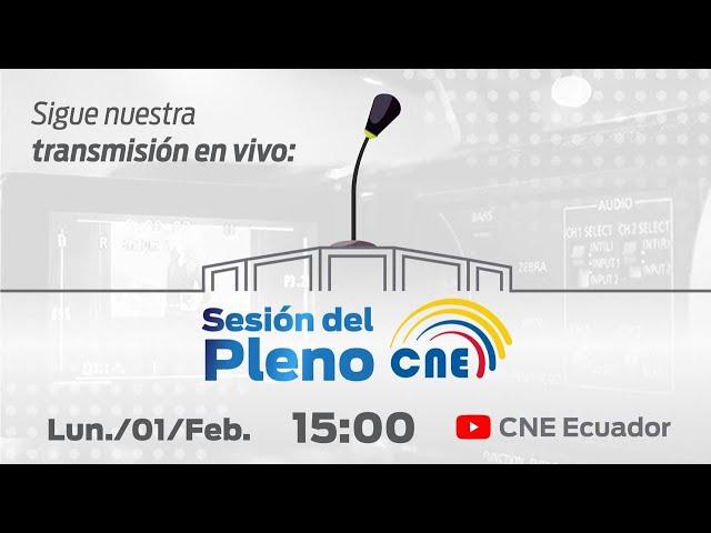 Sesión Ordinaria Nro. 12 Pleno CNE 2021