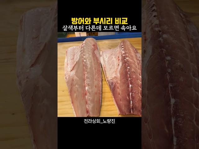 가짜방어 부시리에 속지마세요~ 이영상으로 끝