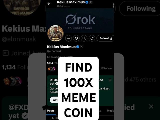 How to  Find 100X Meme Coins Early?