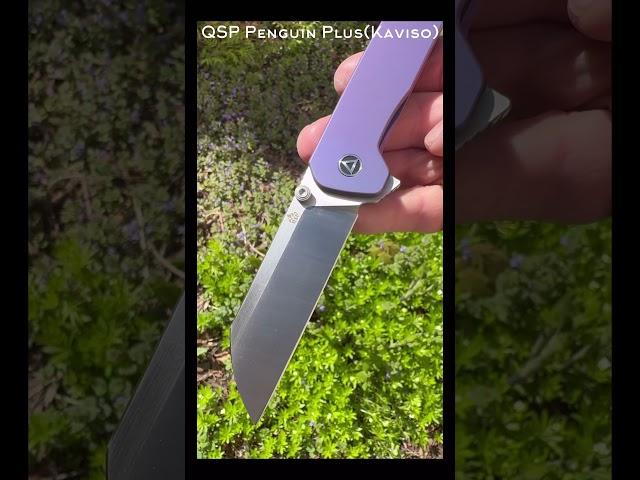 QSP Penguin Plus 20CV/Titanium Kaviso Exclusive #edc #edcknife #tools #outdoors #utilityknife