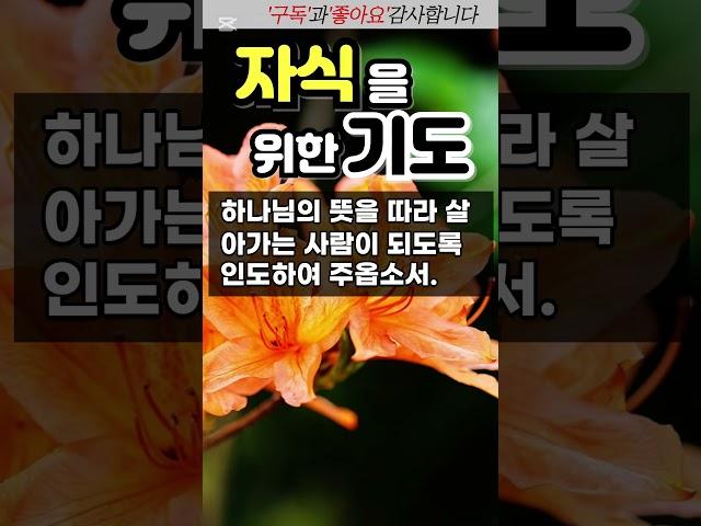 자식을 위한 기도 / 자녀를 위한 기도 / #자식을위한기도 #자녀기도문 #자녀를위한기도