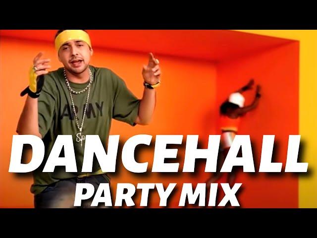 Dancehall Party Mix 2024 | Shabba Ranks, Busy Signal, Charly Black, Spice, Sean Paul |Tina's Mixtape