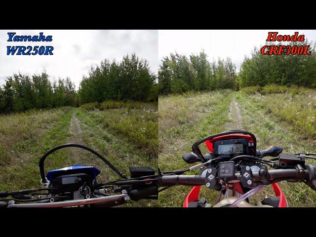 WR250R vs CRF300L - Woods riding shootout