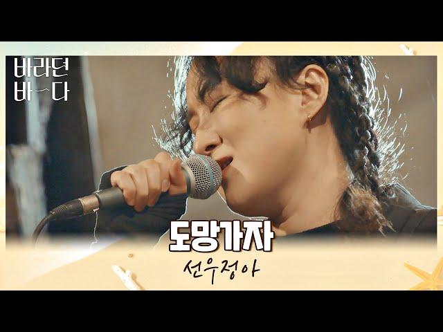 돌아오자,, 밤바다에서 부르는 선우정아(Sunwoojunga)의 위로송 〈도망가자〉 바라던 바다 (sea of hope) 7회 | JTBC 210810 방송