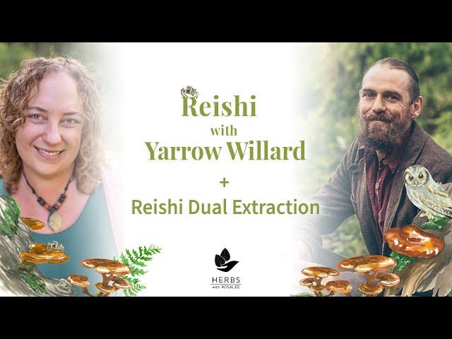 Reishi with Yarrow Willard + Reishi Dual Extract