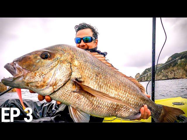 The Best Bait To Use While Fishing?! NZ Ep 3