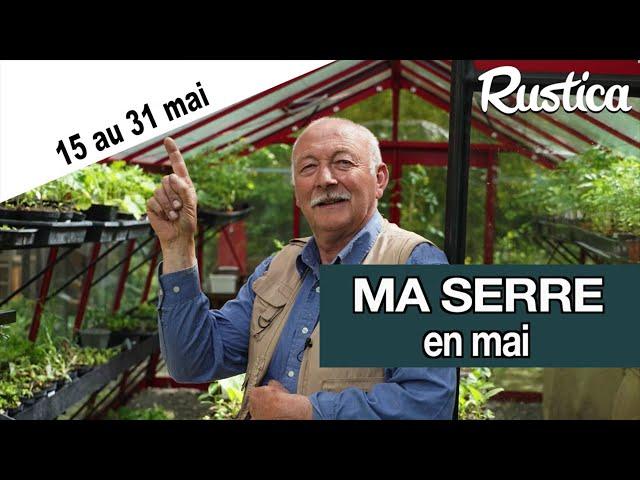 Que faire dans la serre en mai : période du 15 au 31 mai