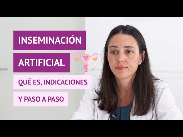 Inseminación artificial | ¿Qué es y cuál es su tasa de éxito?