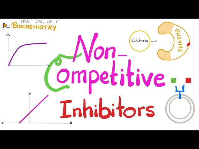 Non-Competitive Inhibitors...Enzyme Kinetics | Biochemistry 