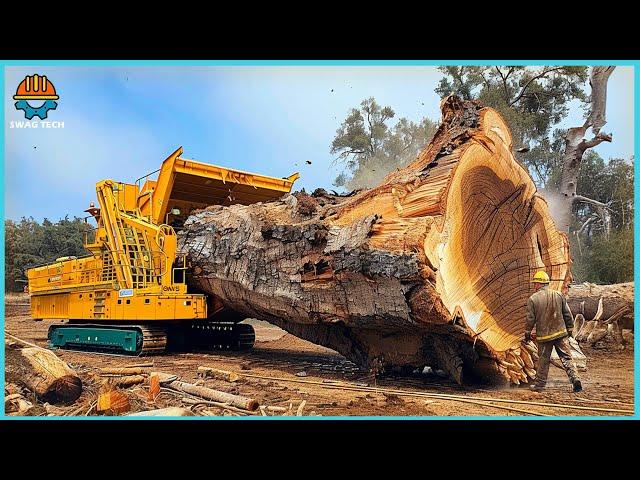 909 EXTREME Dangerous Huge Wood Chipper Machines | Best Of USA