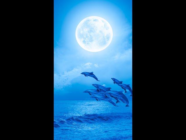 Deep Sleep Music ~ Calming Music for Sleep ~ Fall Asleep ~ Stress Relief ~ Meditation Music :)