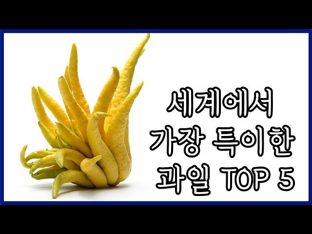 세계에서 가장 특이한 과일 TOP 5