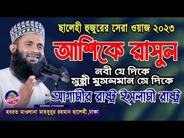 সেরা ওয়াজ ২০২৩ আশিকে রাসুল | মাওলানা মাহবুবুর রহমান সালেহী নতুন ওয়াজ | mahbubur rahman salehi waz