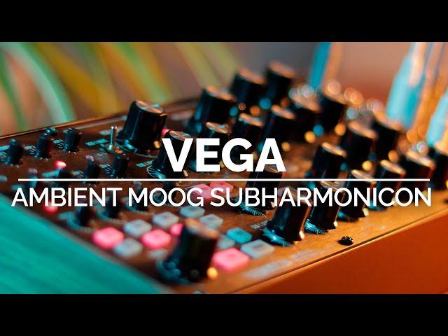 Vega | Generative Ambient Moog Subharmonicon