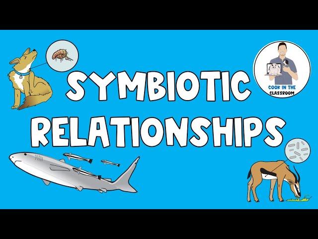 Symbiotic Relationships