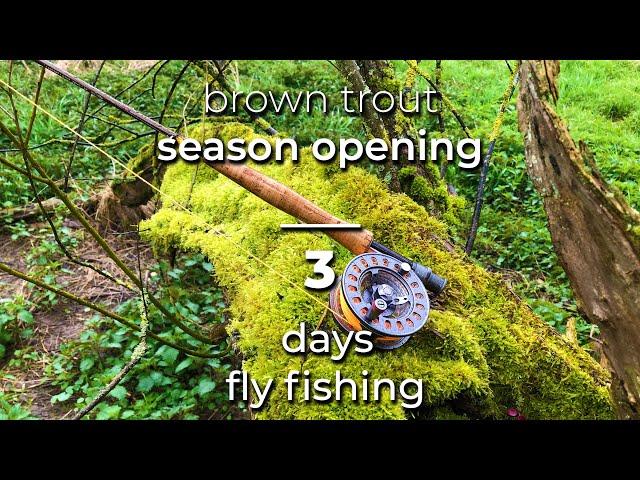 Bachforelle Saisonstart 3 Tage Fliegenfischen / brown trout SEASON OPENING 3days Flyfishing