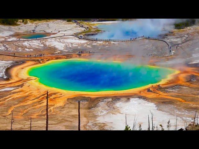 Yellowstone in 3 days. Grand Prismatic Spring, Old faithful. Geysers, grizzly, bisons, bear