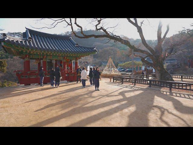 Jeondeungsa Temple is the best temple in Ganghwa Island | Ganghwa Island South Korea 4K HDR