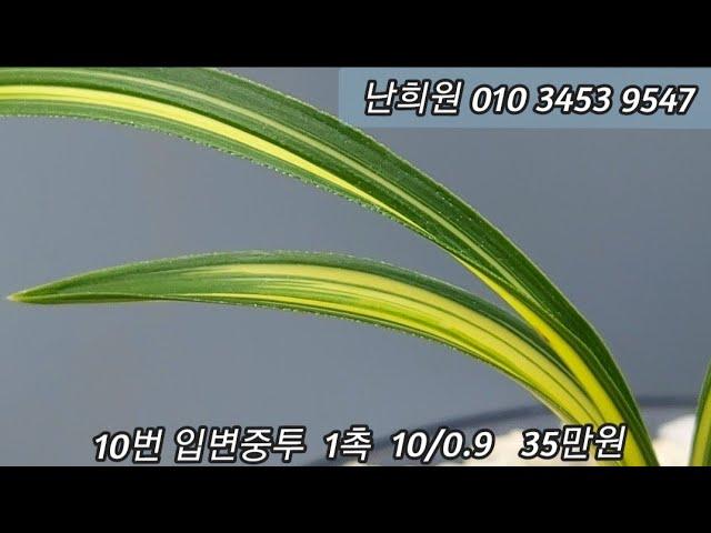 12월17일 입실 추천작으로 소개합니다 ^^