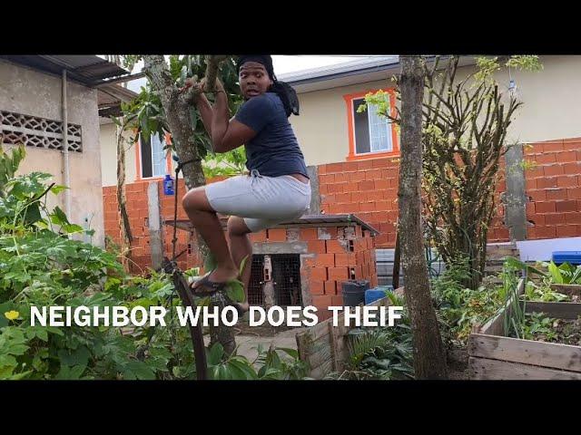 TYPES OF TRINI NEIGHBORS!! (Surprise at the end)