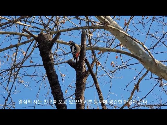 수원 팔색길 모수길 산책 ‍️