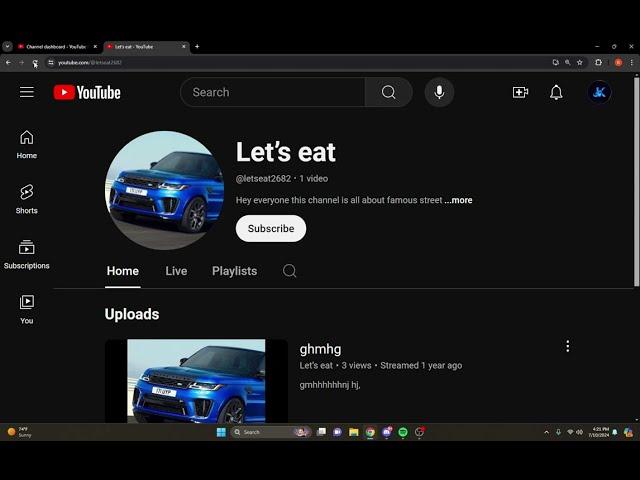 Youtube Sub bot (2024, No downloads)